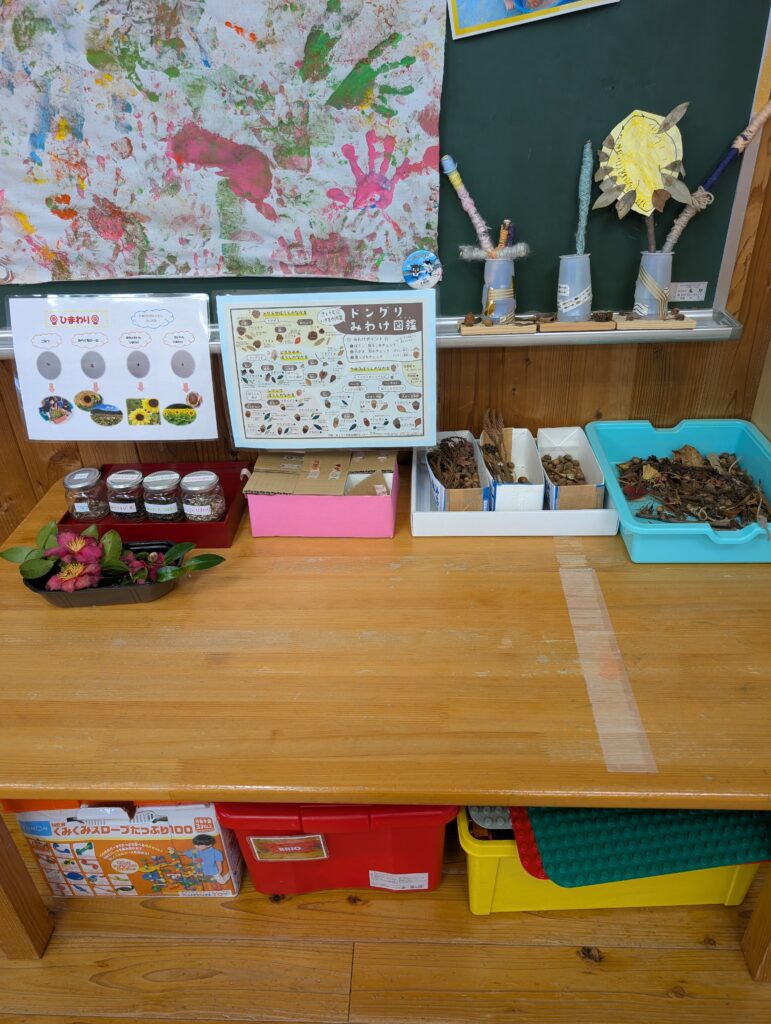 木目の机の上に、ひまわりの成長過程を記した掲示物やドングリの見分け図鑑が置かれている。小瓶に入った種や、本物の椿の花、バケツに入った落ち葉など、自然物に触れられるコーナー。